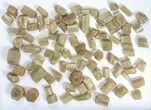 Wholesale Flot: g Apatite Crystals From Morocco - + Pieces #82342-1